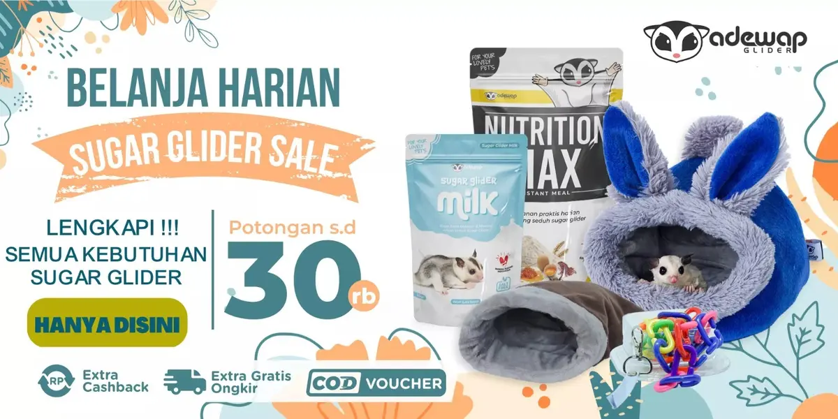 Adewap Sugar Glider