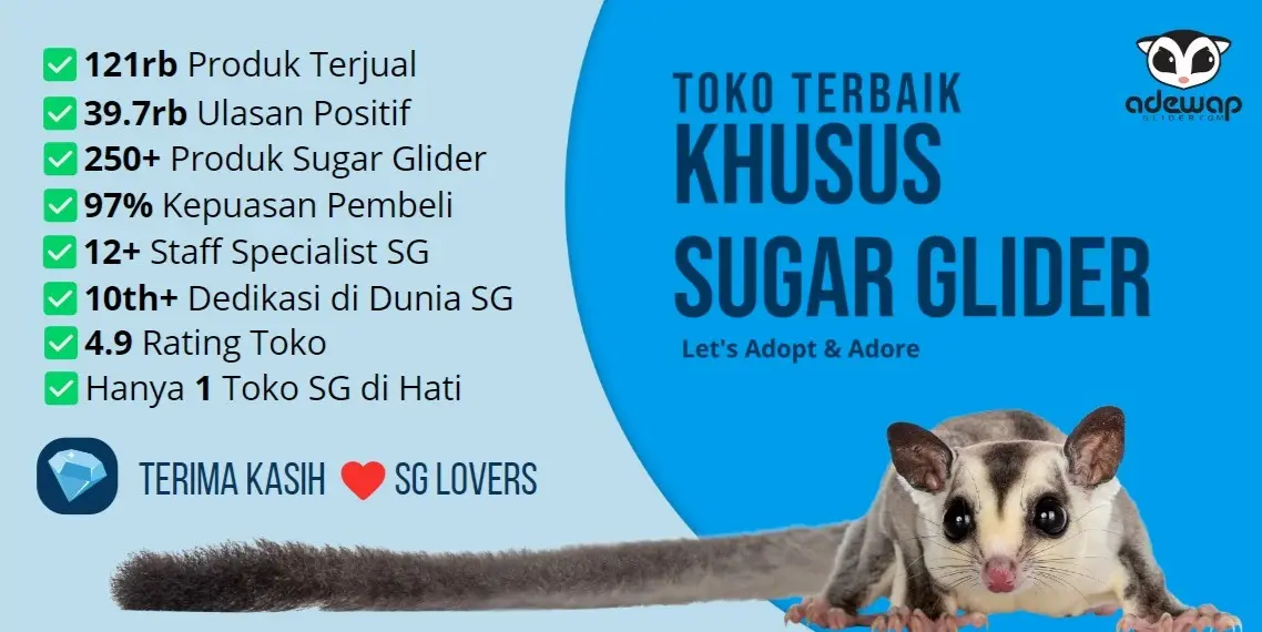 Adewap Sugar Glider Store