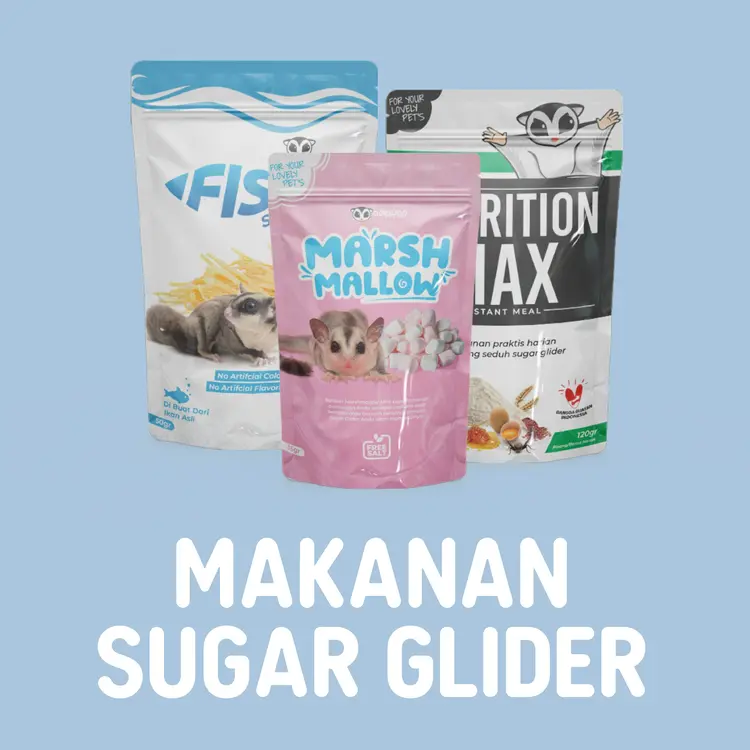 Makanan Sugar Glider