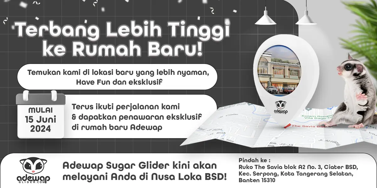 Terbang Lebih Tinggi ke Rumah Baru